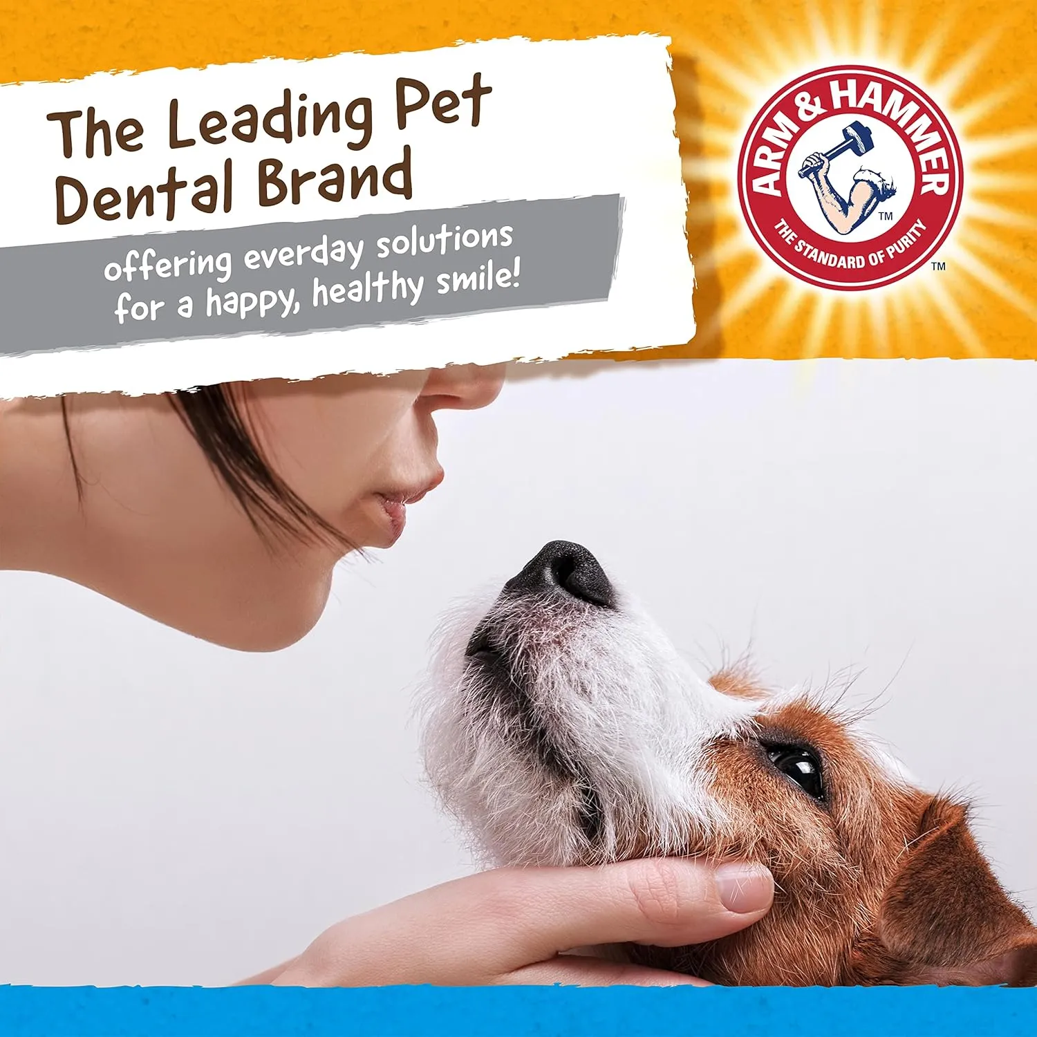 Arm & Hammer for Pets Nubbies Dental Toys Gator Dental Chew Toy for Dogs Best Dog Chew Toy for Moderate Chewers Reduces Plaque & Tartar Buildup Without Brushing, Gator (Pack of 24)