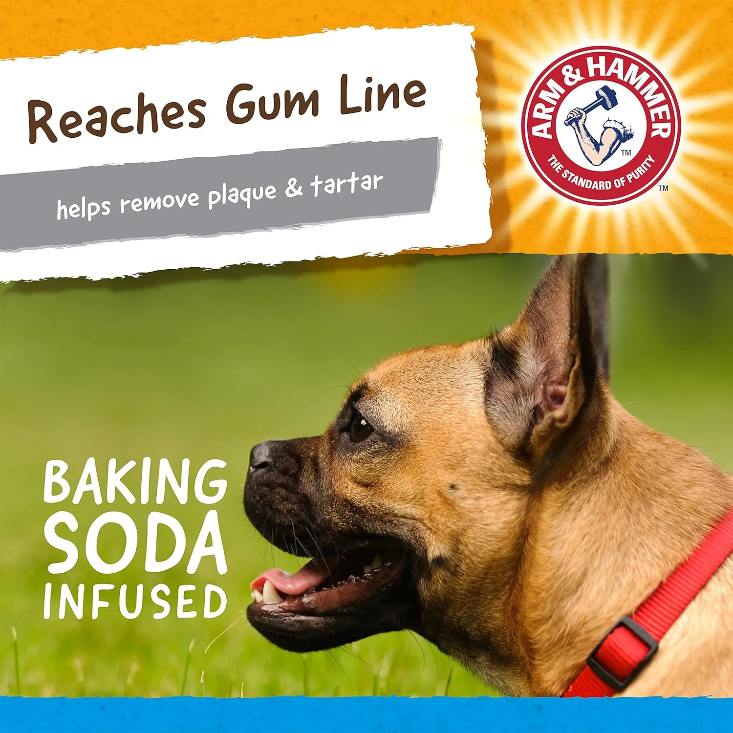Arm & Hammer for Pets Nubbies Dental Toys Gator Dental Chew Toy for Dogs Best Dog Chew Toy for Moderate Chewers Reduces Plaque & Tartar Buildup Without Brushing, Gator (Pack of 24)