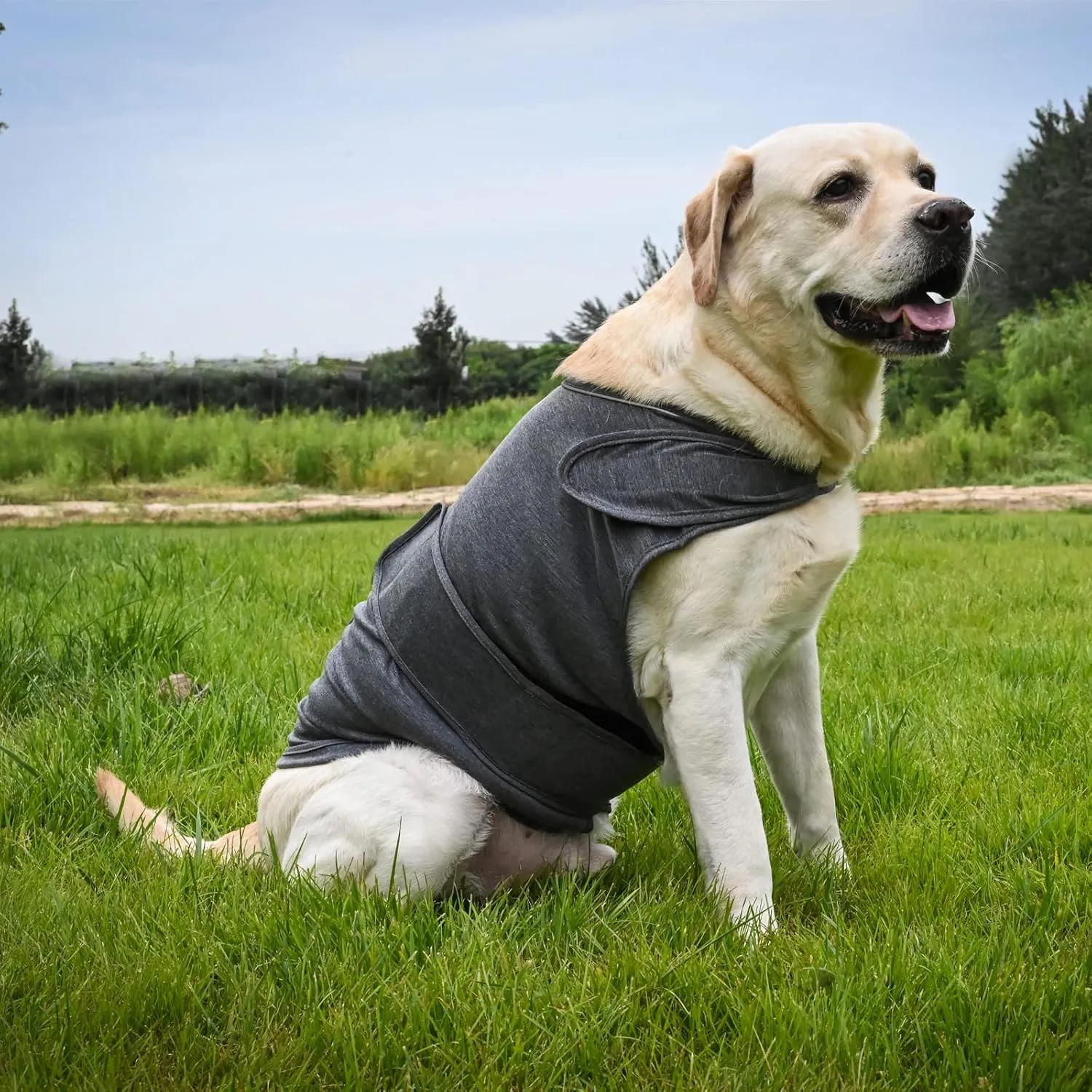 Dog Anxiety Jacket, Skin-Friendly Calming Shirt for Dogs- Dog Coat for Thunder, Fireworks and Separation - Keep Pet Calm Without Medicine & Training, Anti Anxiety Vest for Dogs (Dark Blue, XL)