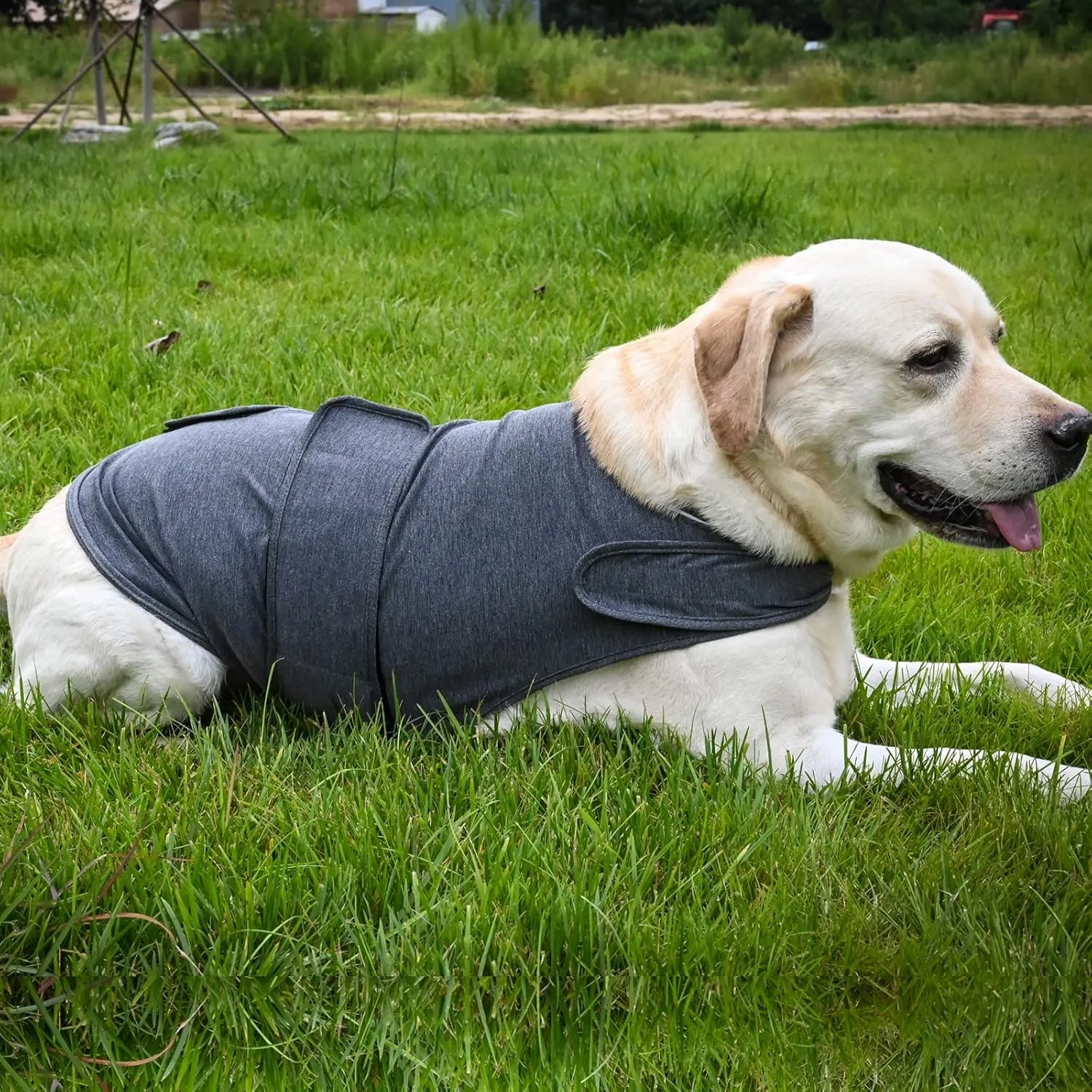 Dog Anxiety Jacket, Skin-Friendly Calming Shirt for Dogs- Dog Coat for Thunder, Fireworks and Separation - Keep Pet Calm Without Medicine & Training, Anti Anxiety Vest for Dogs (Light Grey, XL)