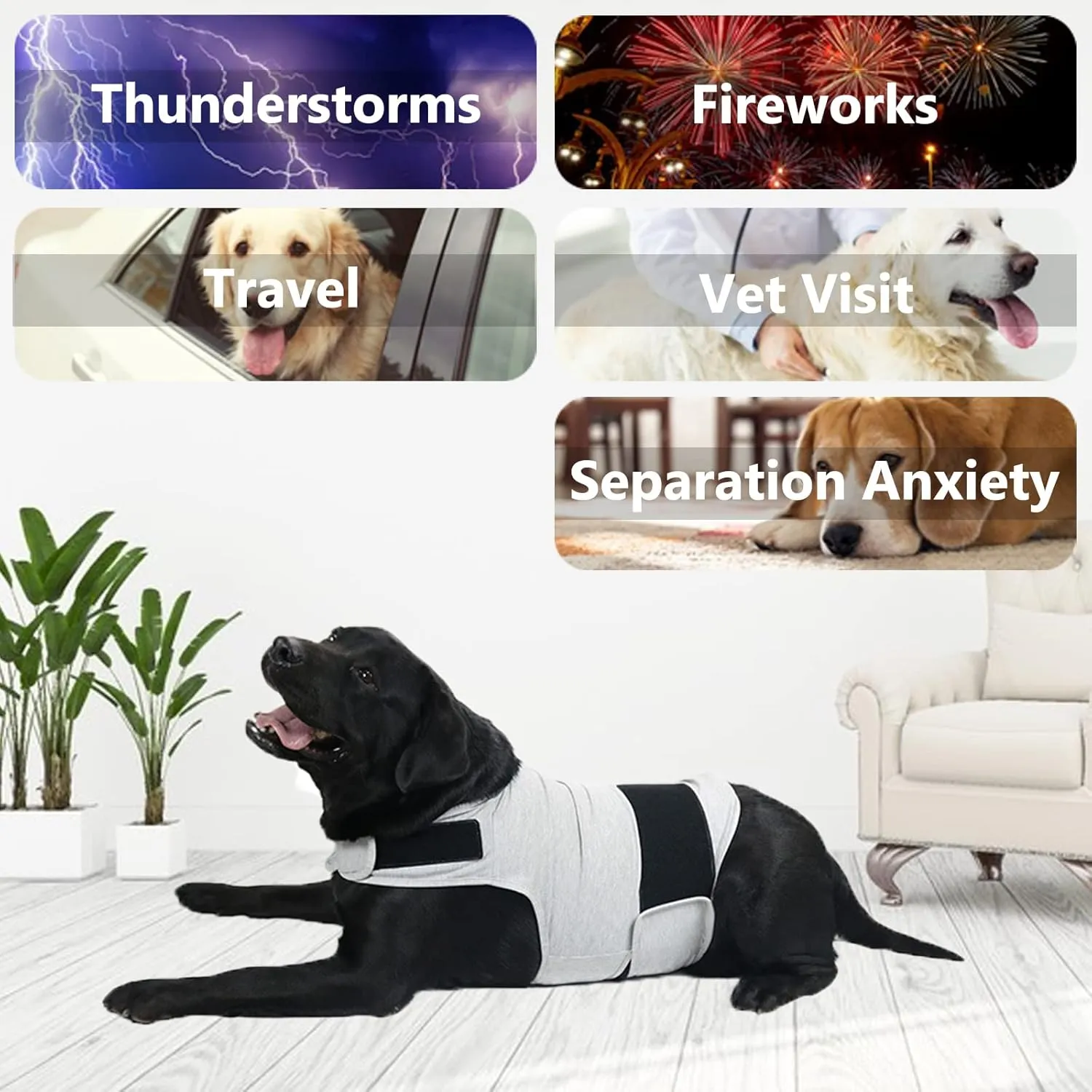 Dog Anxiety Jacket, Skin-Friendly Calming Shirt for Dogs- Dog Coat for Thunder, Fireworks and Separation - Keep Pet Calm Without Medicine & Training, Anti Anxiety Vest for Dogs (Light Grey, XL)