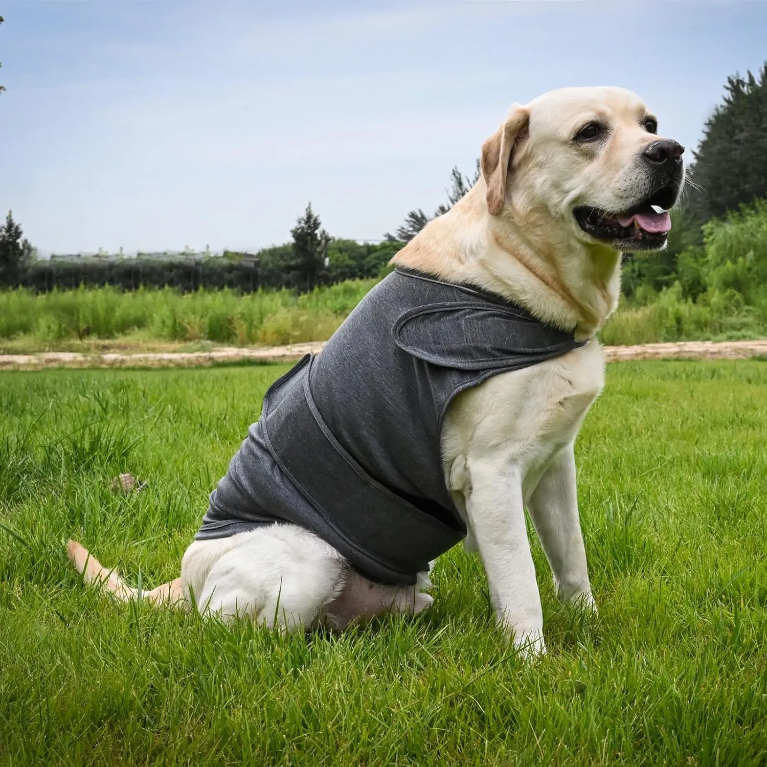 Dog Anxiety Jacket, Skin-Friendly Calming Shirt for Dogs- Dog Coat for Thunder, Fireworks and Separation - Keep Pet Calm Without Medicine & Training, Anti Anxiety Vest for Dogs (Light Grey, XL)