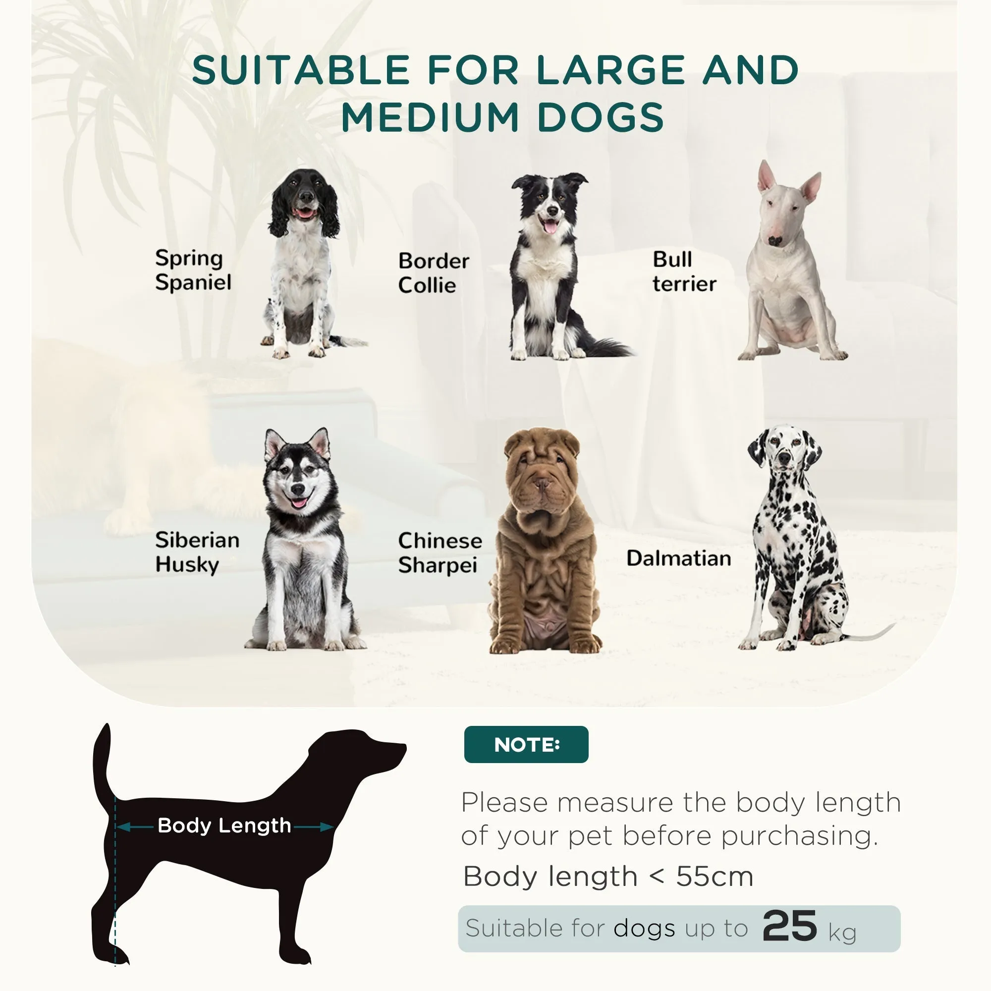 Dog Sofa with Legs Water-resistant Fabric Pet Chair Bed for Large Medium Dogs Green 100 x 62 x 32 cm