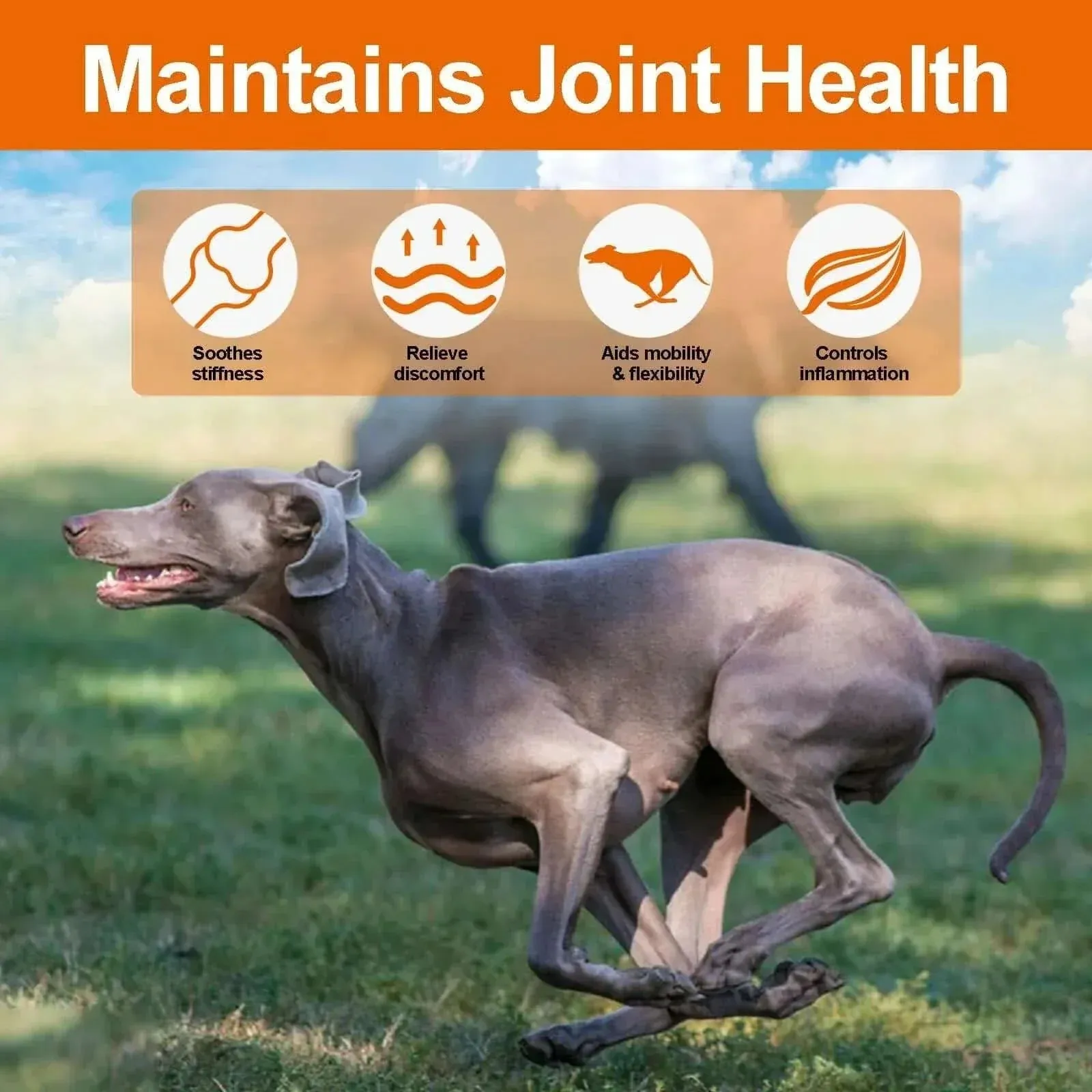 Dogs Glucosamine Joint Pain Relief Treats Chondroitin MSM Supplement Health Mobility Support Chews