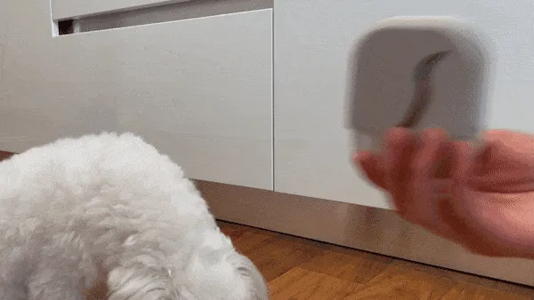 EZ Treat Dog Treat Dispenser