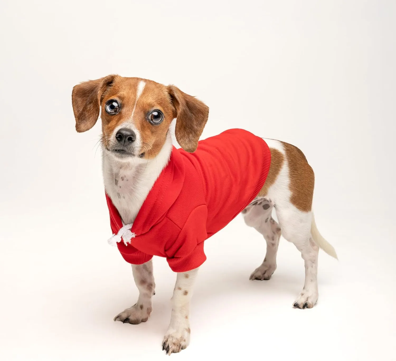 I Love My Moms (Two) Mother's Day Dog Hoodie | Fleece Lined |Leash Hole| Pride Day | LGBTQ  | Rainbow | Parade|Red, Medium 175