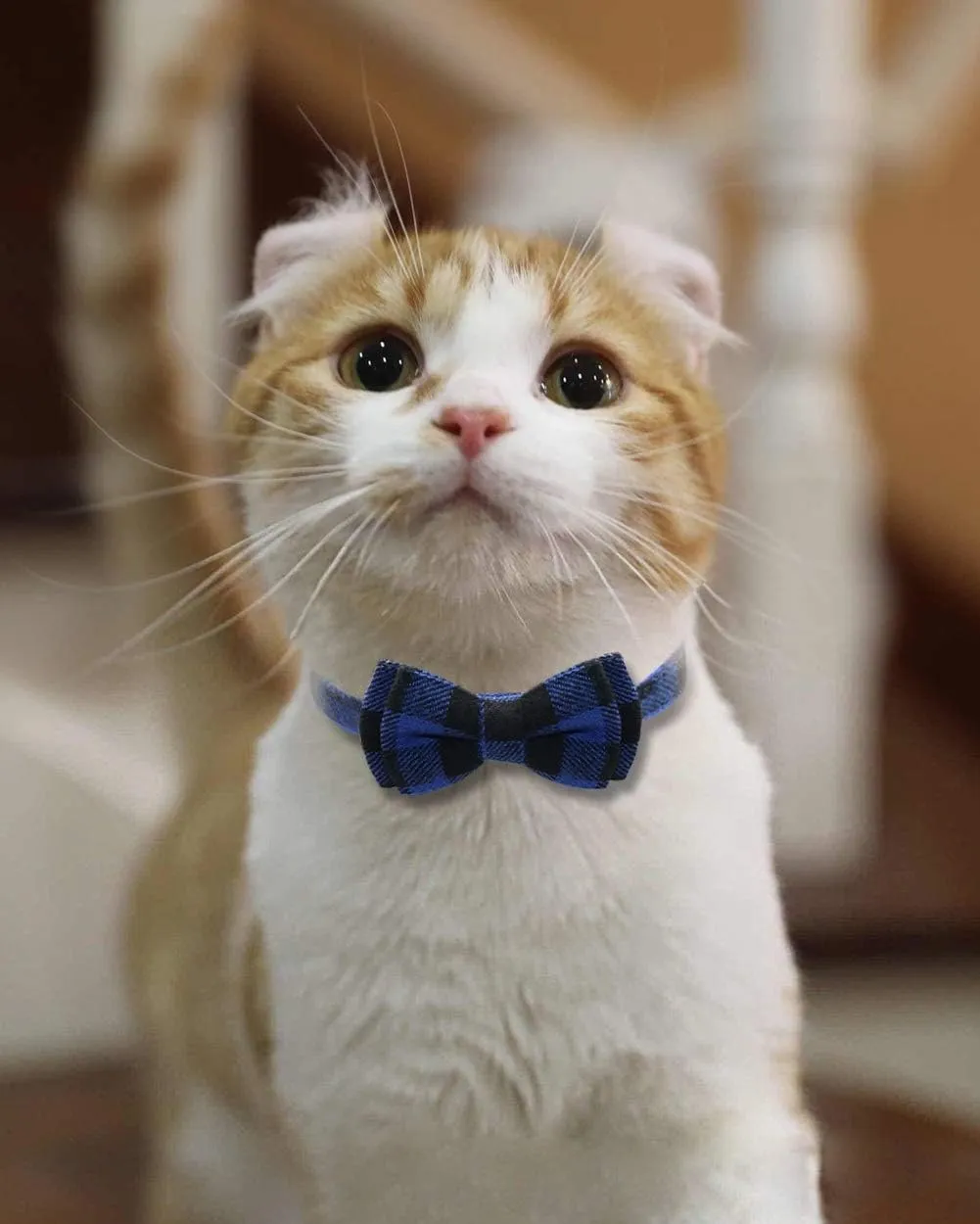 Joytale Upgraded Cat Collar with Bells, Breakaway Cat Collars with Bow Tie, 1 Pack Girl Boy Safety Plaid Kitten Collars, Blue