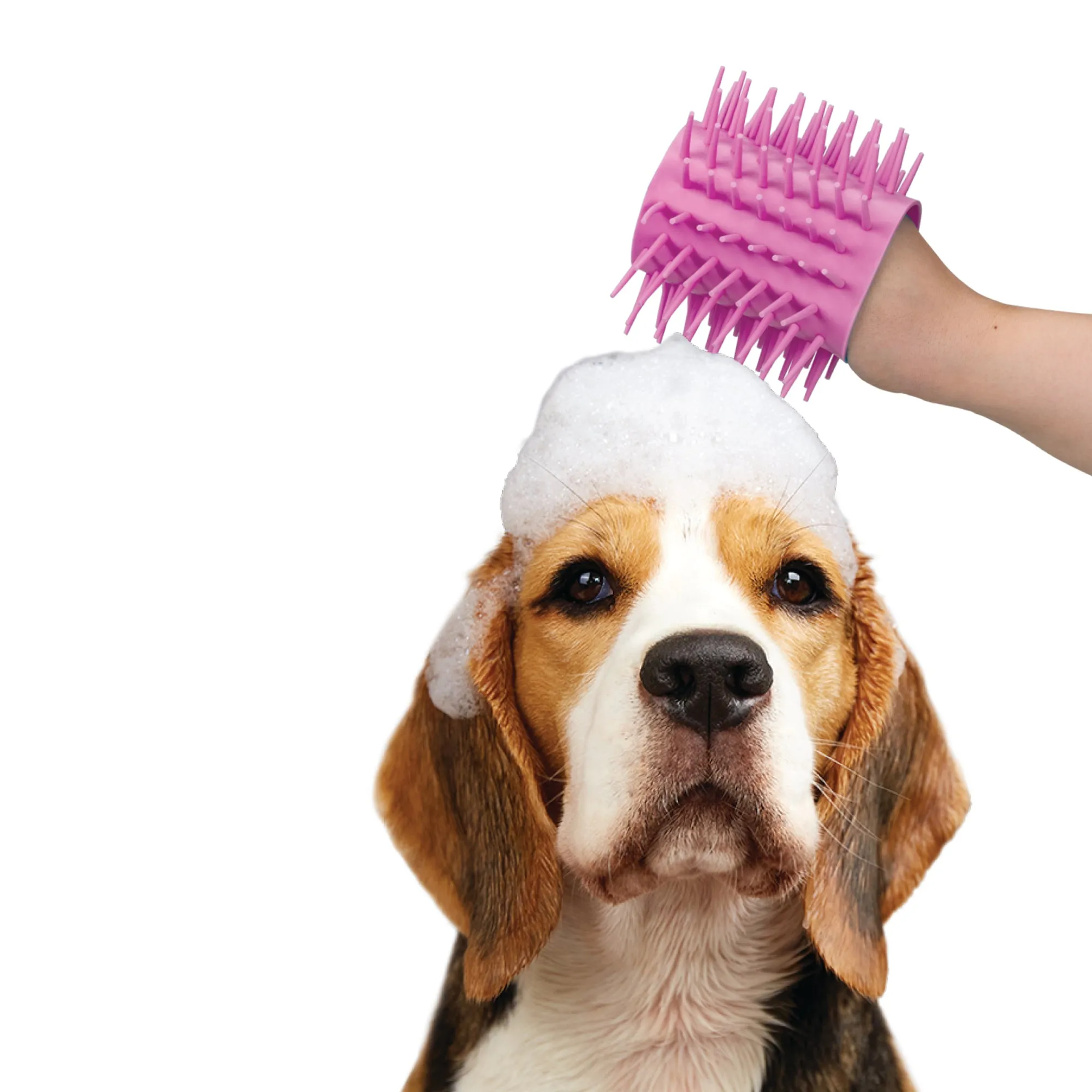 Nice Paws Paw Washer w/Towel