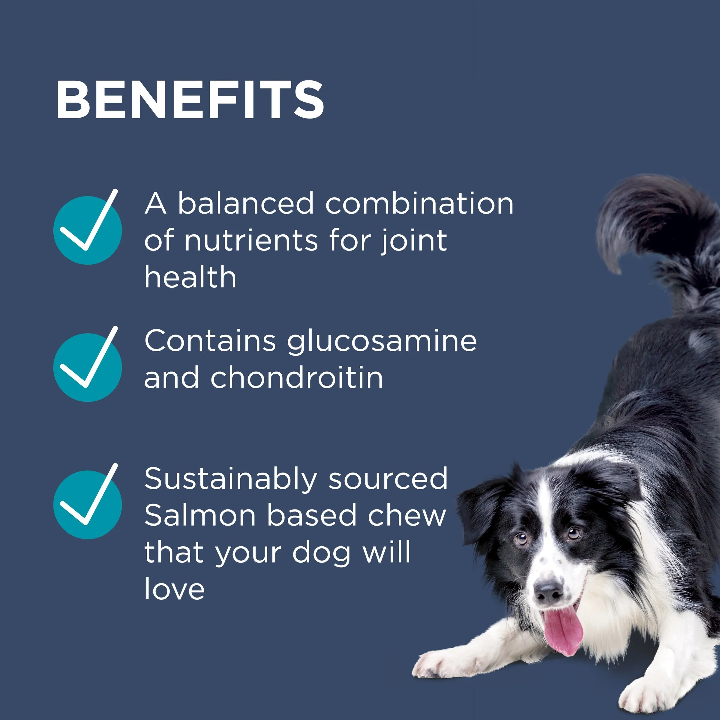 PAW by Blackmores Osteocare Joint Protect Chews for Dogs 500g^^^
