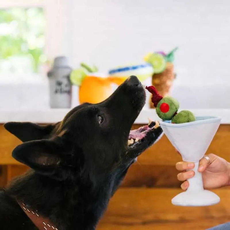 Pawtini Dog Toy