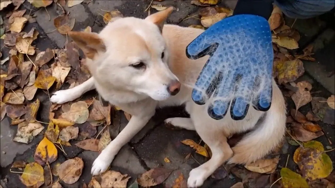 Pet Hair Deshedding Glove