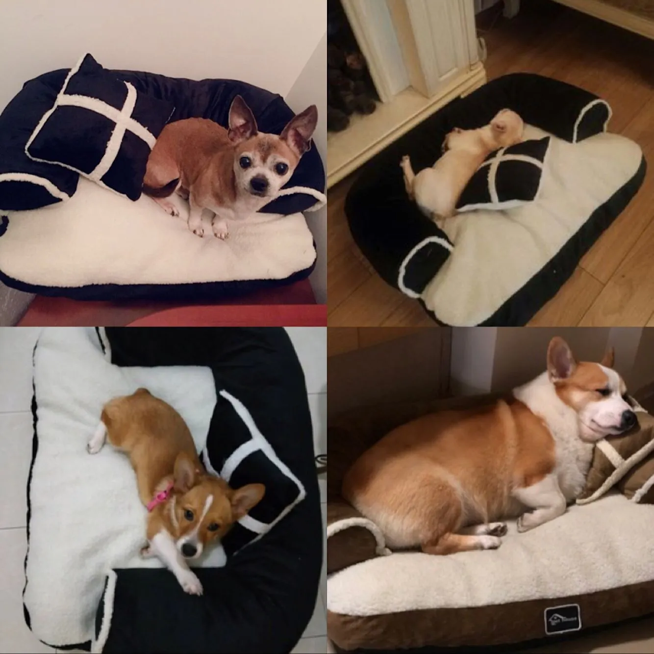 Plush Dog Sofa - Soft Pet Bed - Anti Anxiety