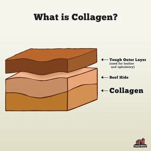 Puffed Collagen Braid Chew - Small
