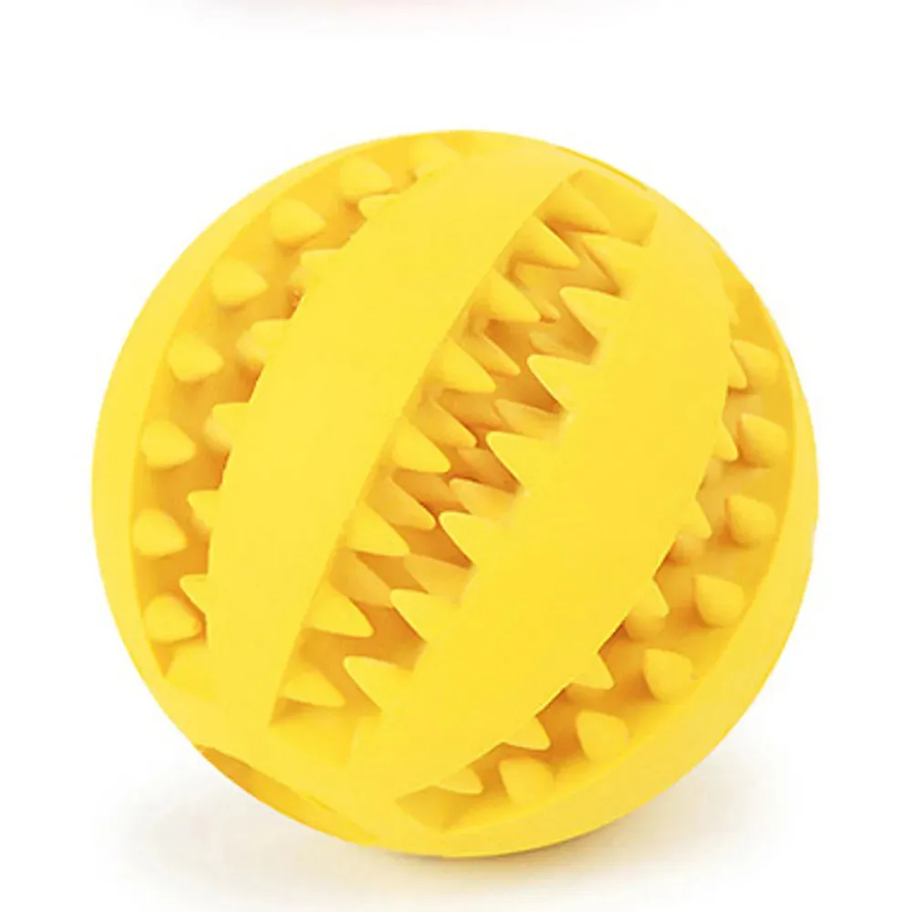 Snack-N-Play Dog Ball