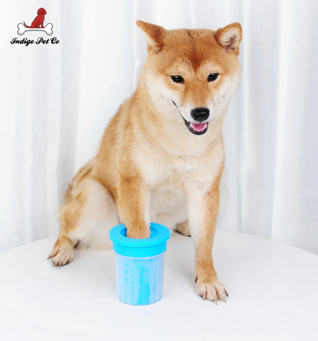 World's Most Effective Pet Paw Cleaner