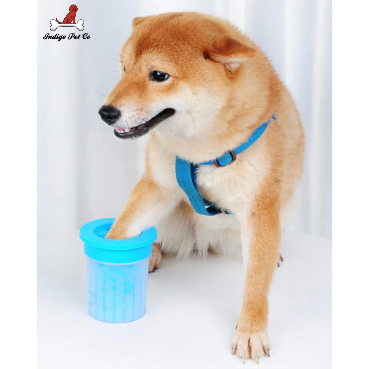 World's Most Effective Pet Paw Cleaner