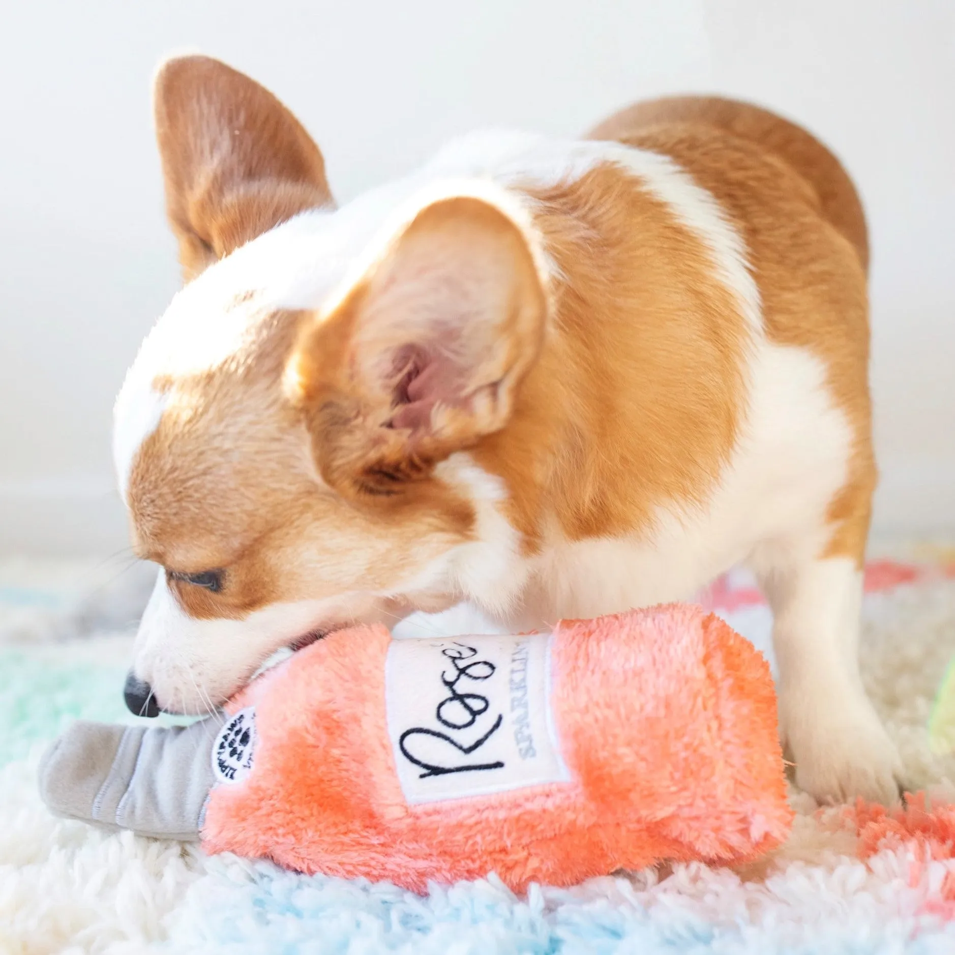 ZippyPaws  Happy Hour Crusherz Dog Toy- Rose
